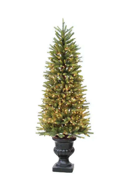 6' Ultra-Lit LED Washington Fir Clear