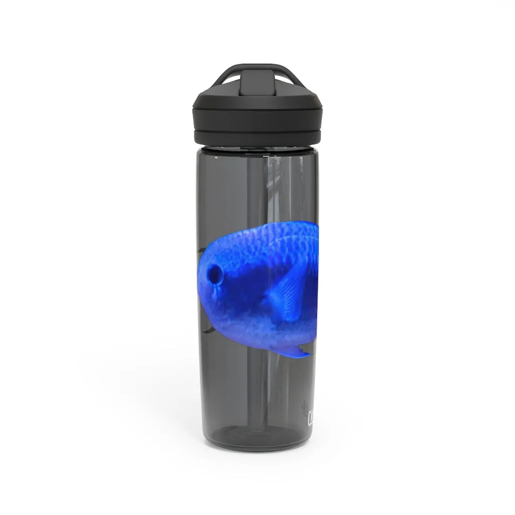 Blue Fish CamelBak Eddy®  Water Bottle, 20oz / 25oz