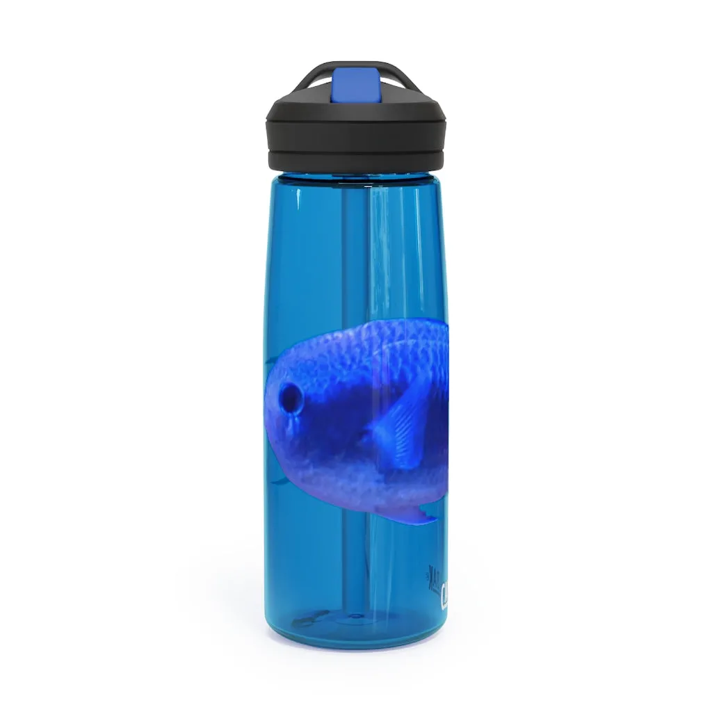 Blue Fish CamelBak Eddy®  Water Bottle, 20oz / 25oz