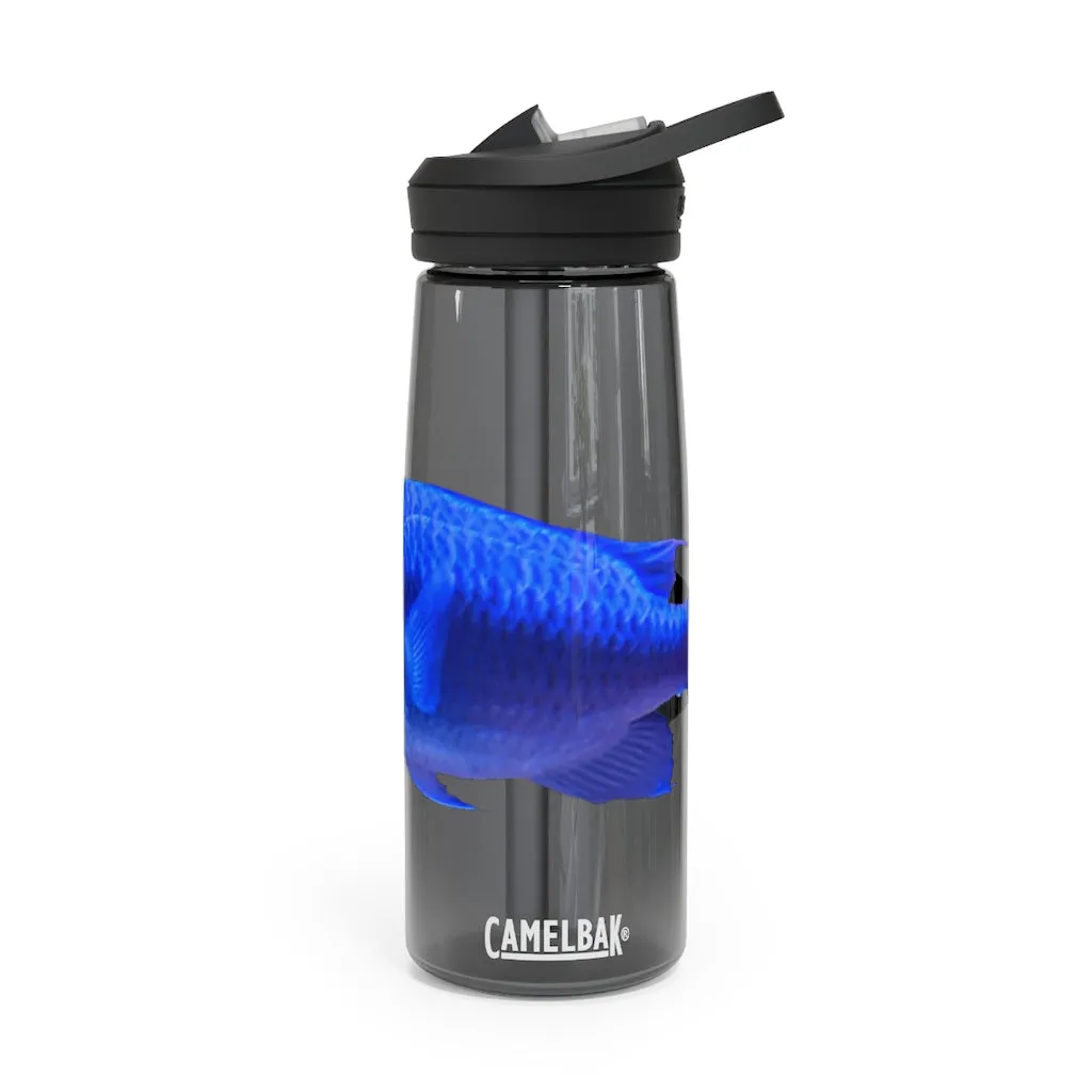 Blue Fish CamelBak Eddy®  Water Bottle, 20oz / 25oz