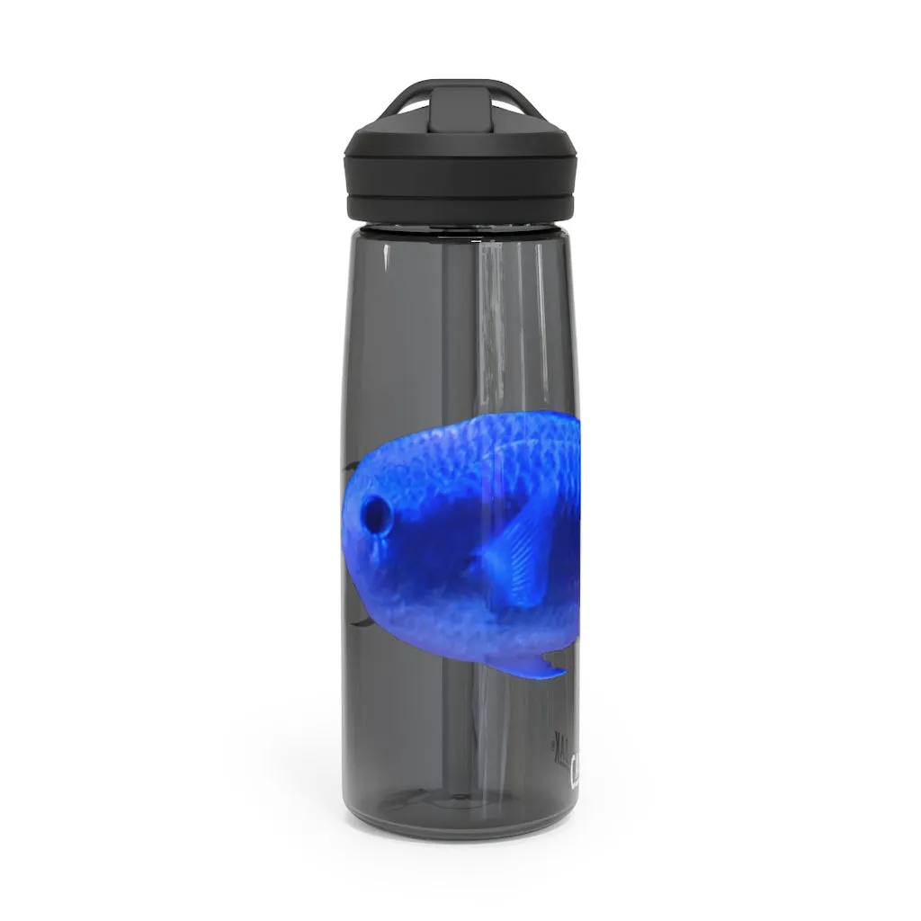 Blue Fish CamelBak Eddy®  Water Bottle, 20oz / 25oz