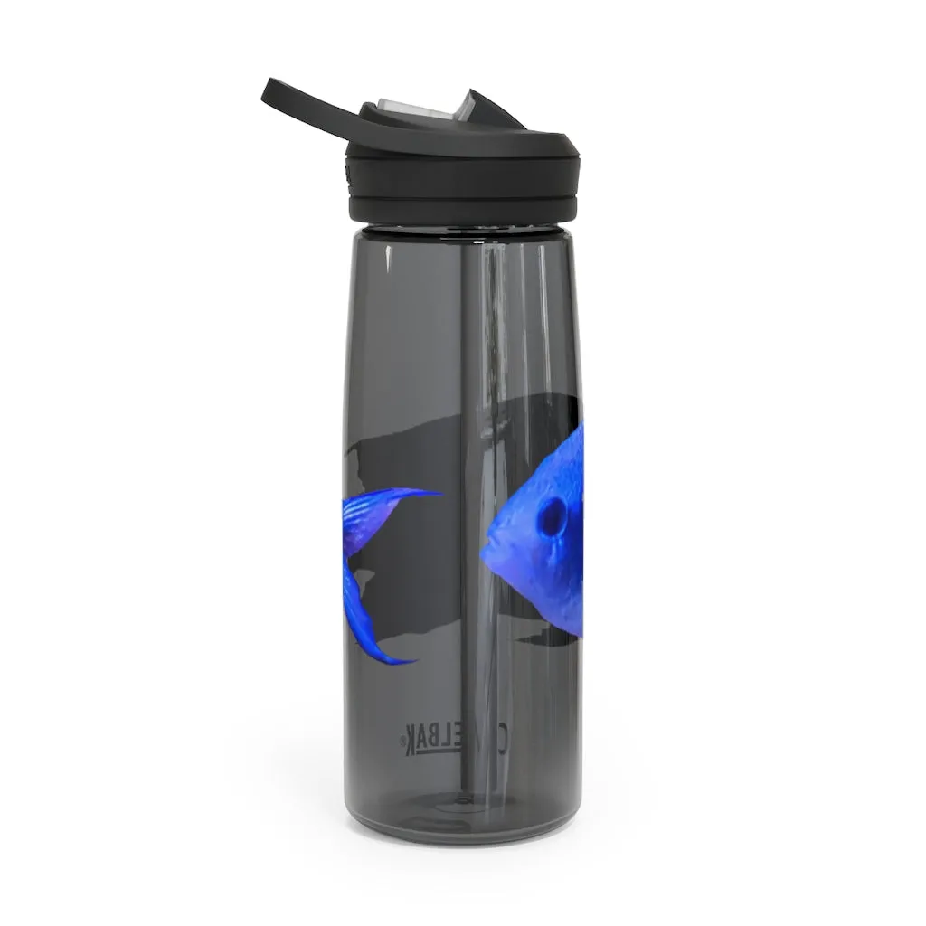 Blue Fish CamelBak Eddy®  Water Bottle, 20oz / 25oz