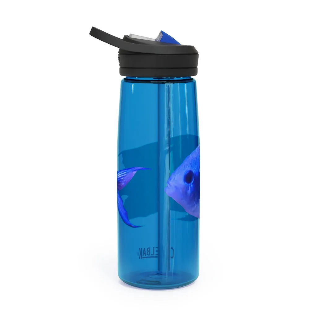 Blue Fish CamelBak Eddy®  Water Bottle, 20oz / 25oz