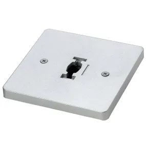 Cal Track Monopoint, Line Voltage in Brushed Steel