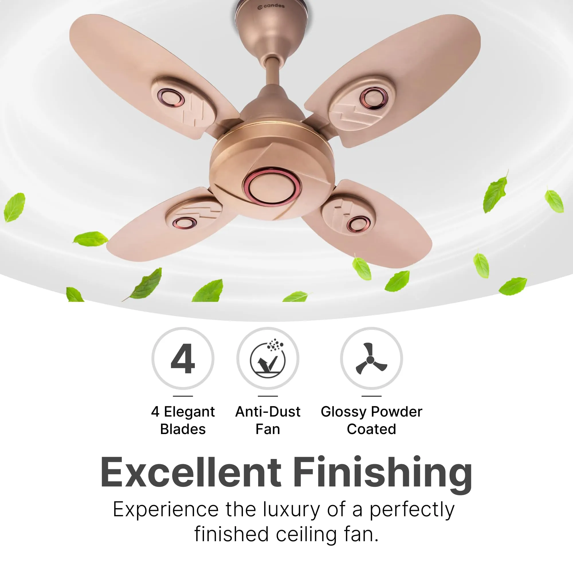 Candes Nexo 600 mm /24 inch High Speed Ceiling Fan | BEE Star Rated, High Air Delivery & Energy Saving | Small Fan for Kitchen, Balcony & Small Room | 1 1 Year Warranty | Golden