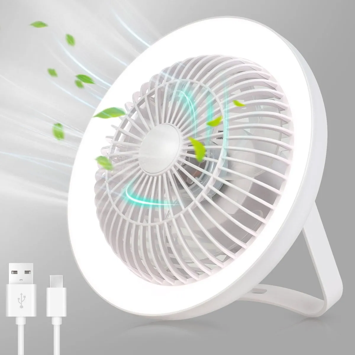 Depuley Rechargeable USB Desk Fan 4000mAH, Portable Fan with LED Light, 8" Tabletop Air Circulator Fan with 3 Speeds, Personal Desk Fan with Hanging Hook for Tent, Office