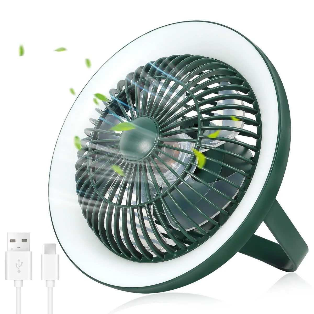 Depuley Rechargeable USB Desk Fan 4000mAH, Portable Fan with LED Light, 8" Tabletop Air Circulator Fan with 3 Speeds, Personal Desk Fan with Hanging Hook for Tent, Office