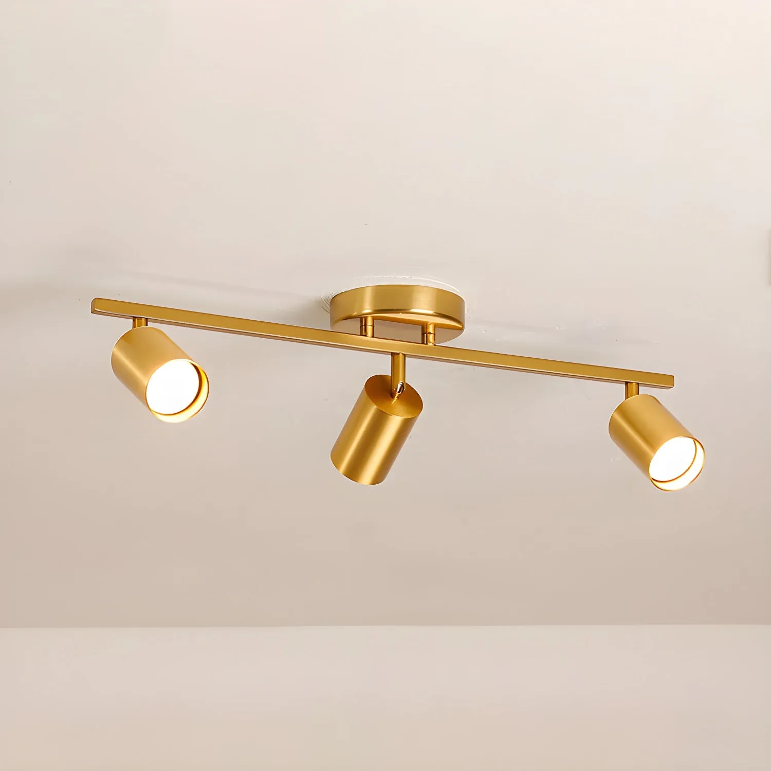 Evanna Ceiling Light