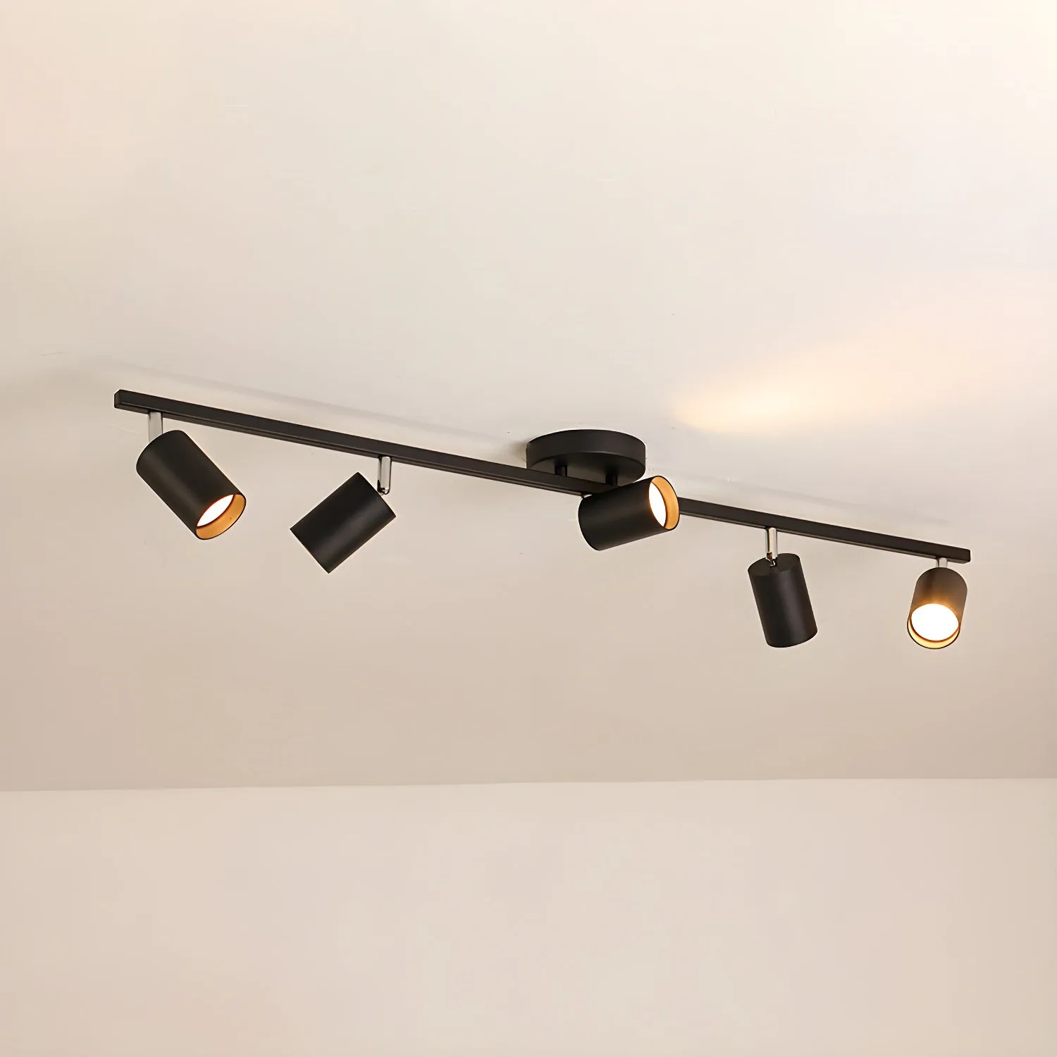 Evanna Ceiling Light