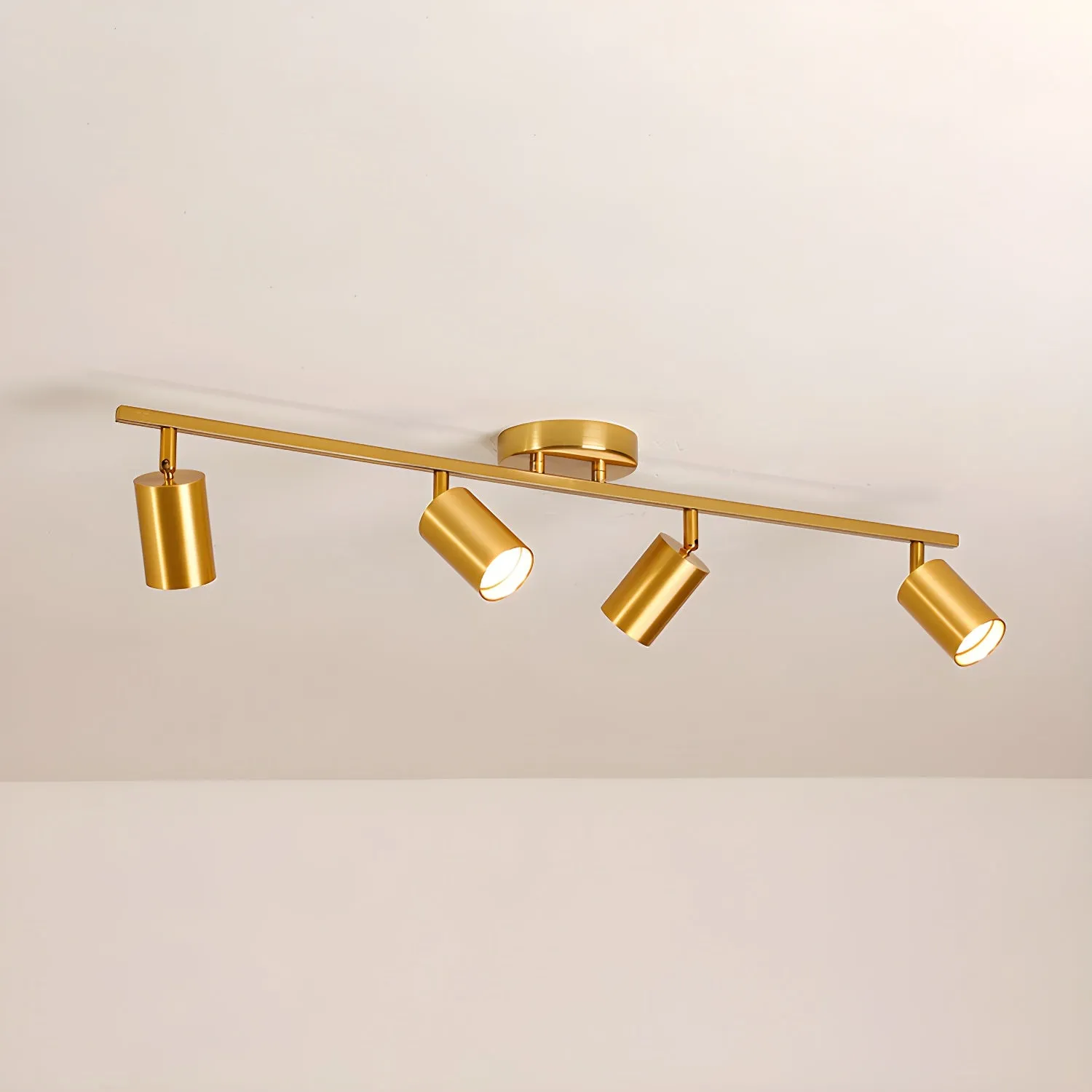 Evanna Ceiling Light