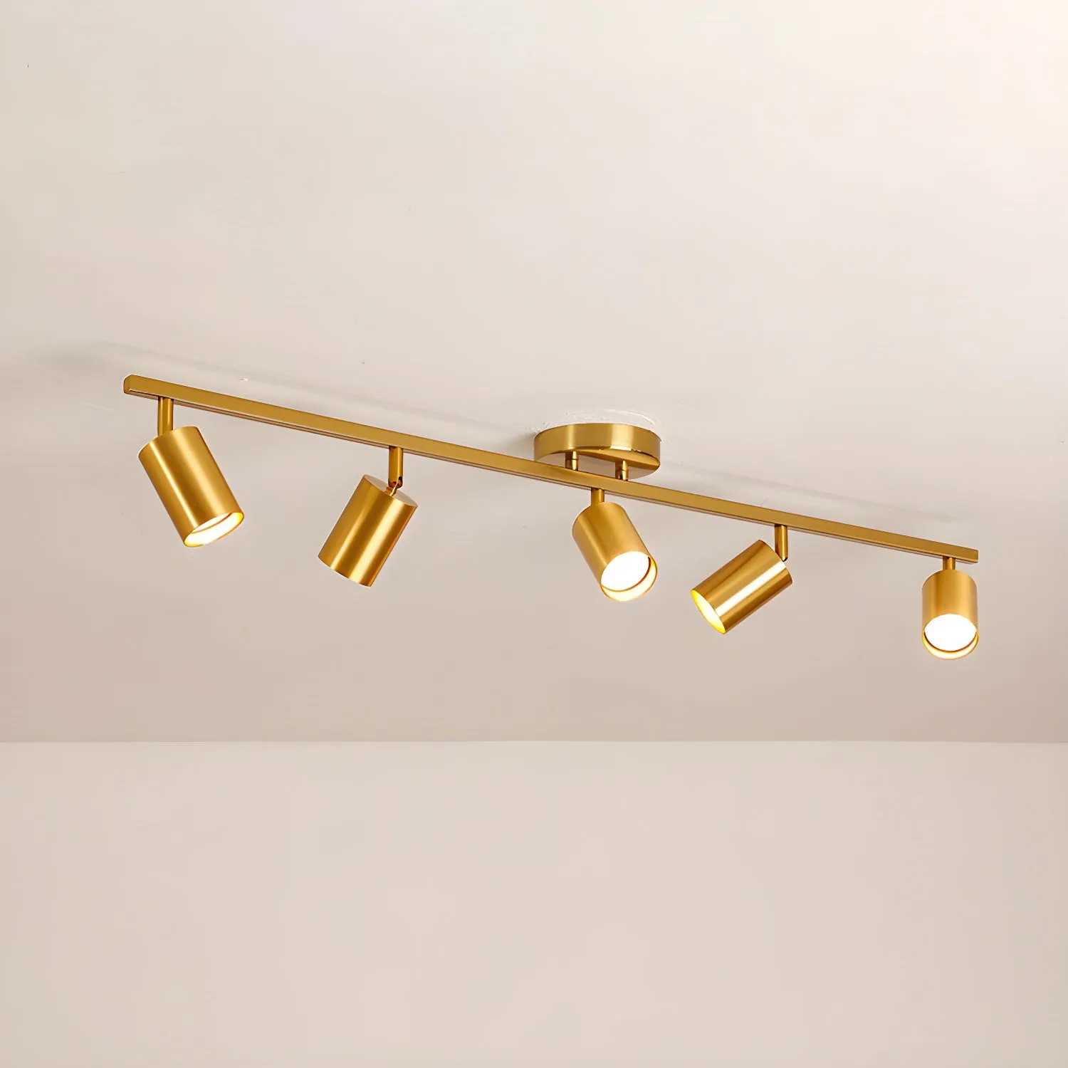 Evanna Ceiling Light