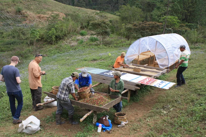 Nossa Familia Coffee - Nicaragua - Finca San Jose de las Nubes - Washed Process