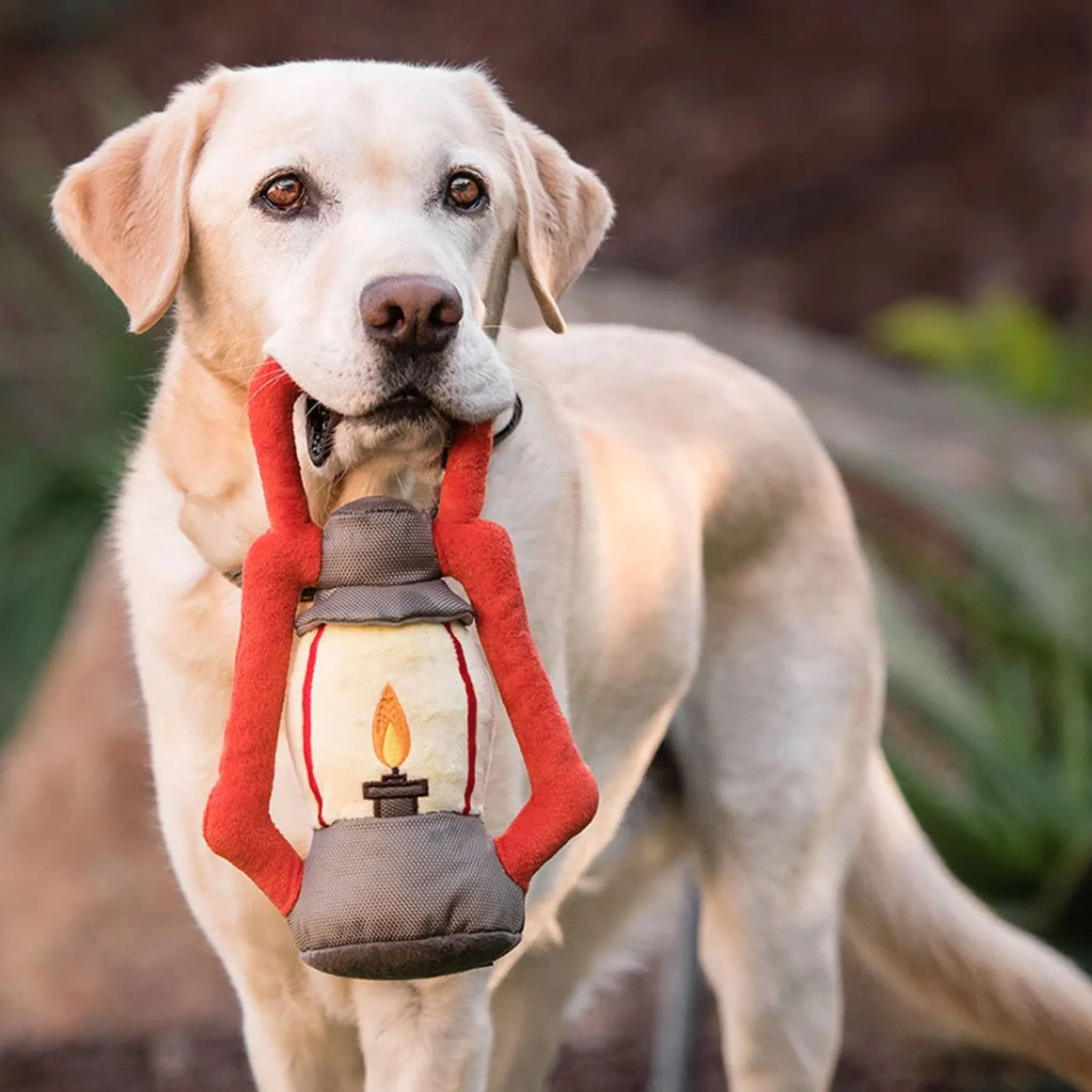 P.L.A.Y. Pack Leader Lantern Dog Toy