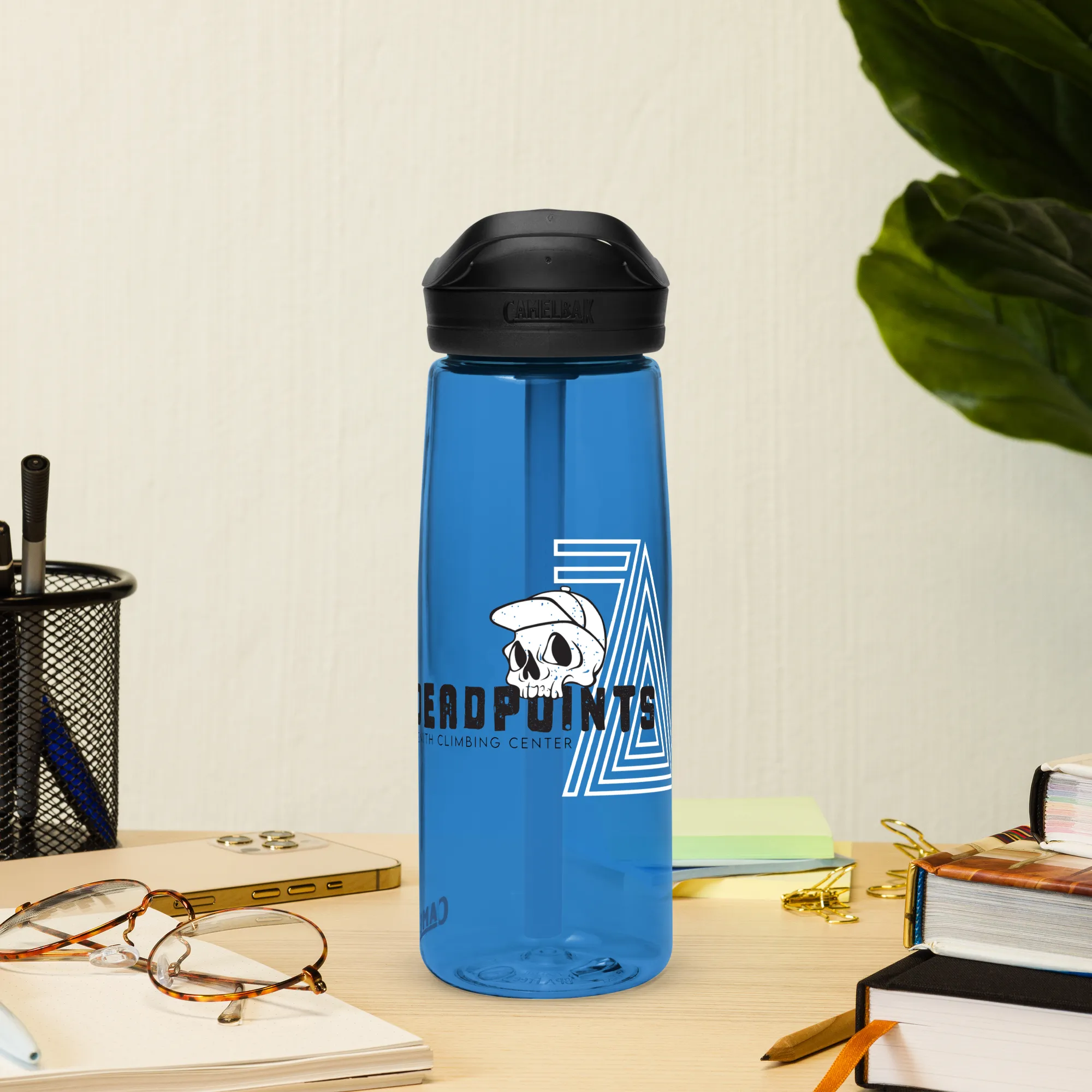 Sports water bottle