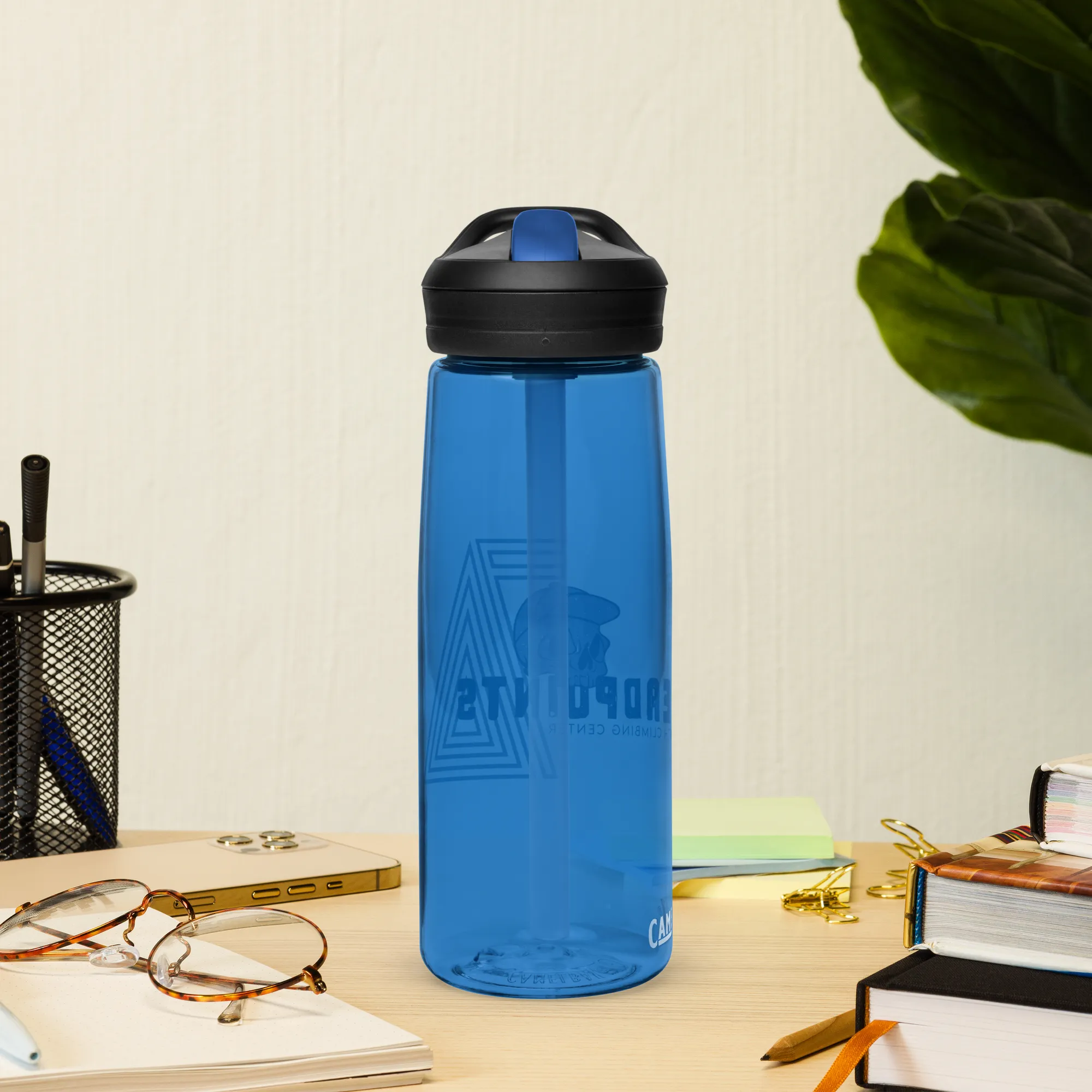 Sports water bottle