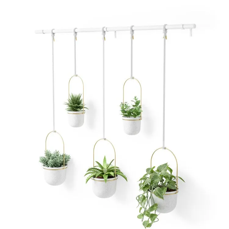 Triflora Hanging Planters Set of 5