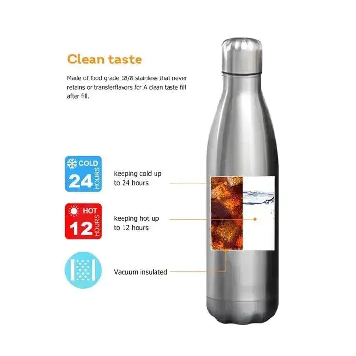 Wave Cola Metal Water Bottle (500 ml)